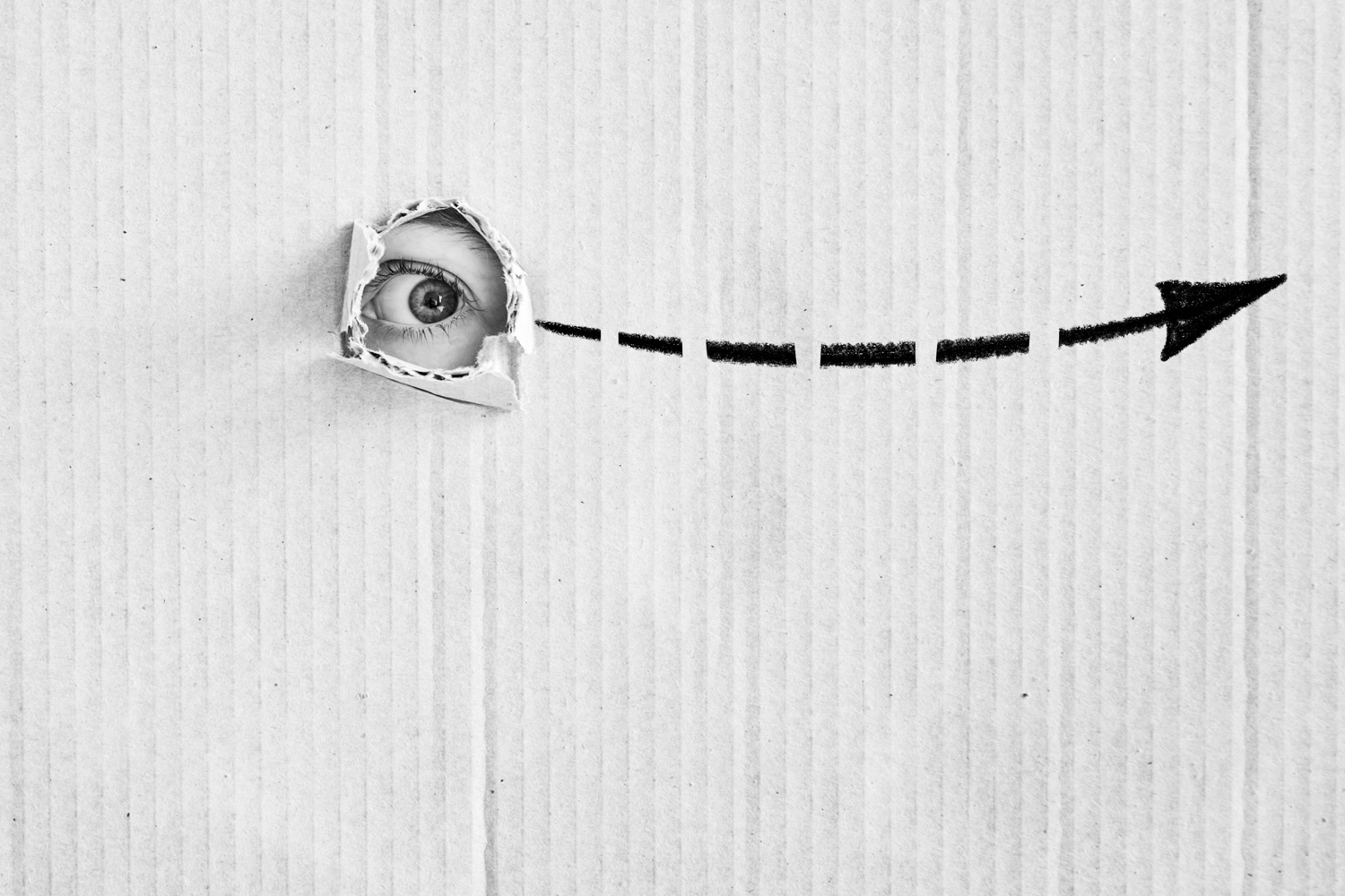 Wat is kijkrichting in de fotografie? Hoe gebruik je kijkrichting tijdens het fotograferen.