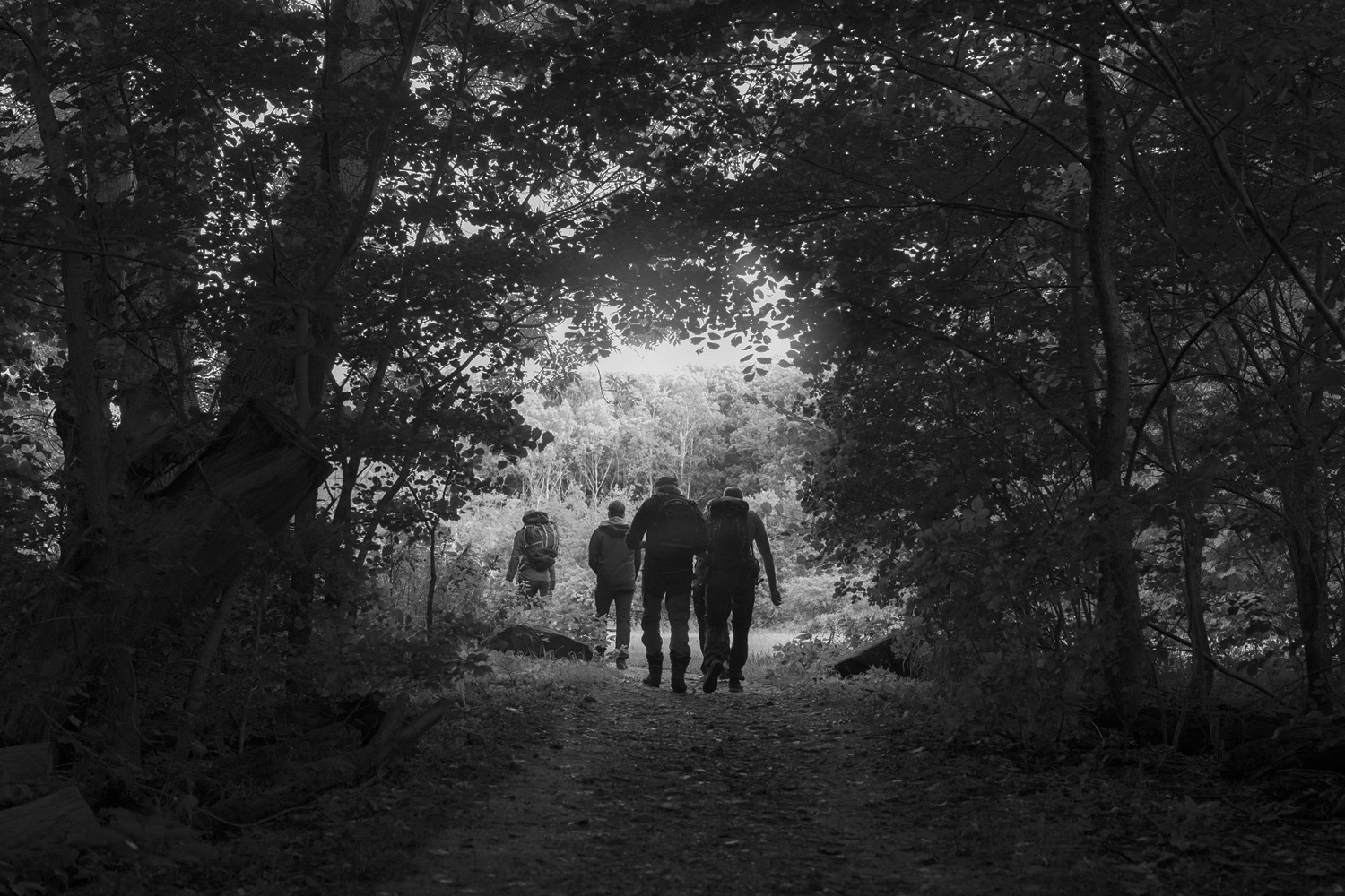 Fotograferen is stilstaan bij wat je ziet. Groepje fotografen in het bos lopend over een bospad